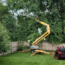 Best Lawn Drainage Solutions  in Forked River, NJ