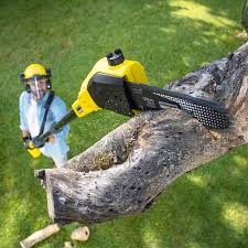  Forked River, NJ Tree Removal Pros